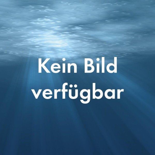 Behncke Einbaunische AISI 316 V4A | PAR 56 und PAR 56 LED