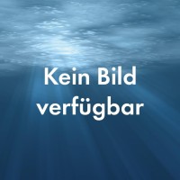 Behncke Einbaunische AISI 316 V4A | PAR 56 und PAR 56 LED