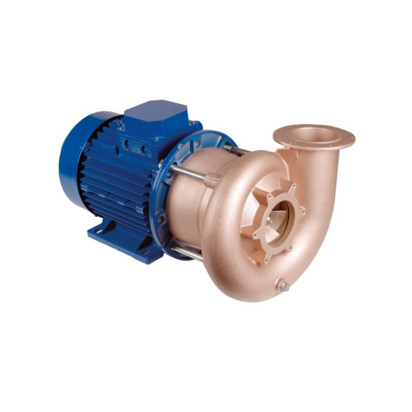 RG-Pumpe 5,5 KW, DS