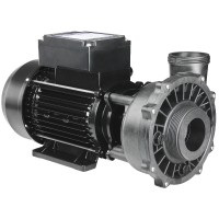Waterway Executive einstufige Pumpe Leistung 2,2 kW / Strom 10,2 A 2,5 HP