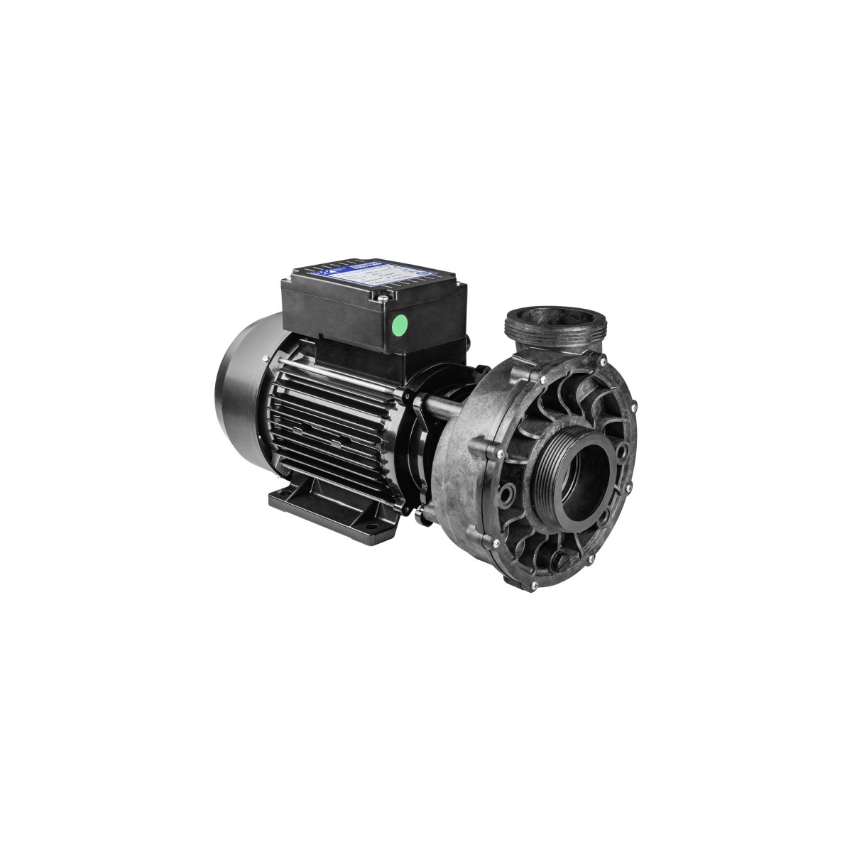 Waterway Viper einstufige Pumpe 2,9 kW (3 HP) 12,4 A