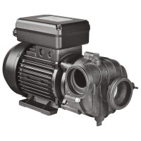 Balboa Sta-Rite DuraJet zweistufige Pumpe 1025009