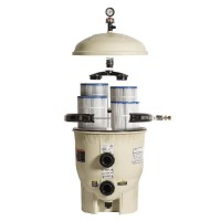 Patronenfilter Pool Kartuschenfilter Pentair Clean&Clear Plus Poolfilter 22,3 m2