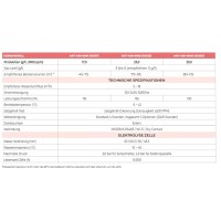 Fairland iGarden iClear Inverter Salzchlorinator | ORP + pH + Temp | 17g
