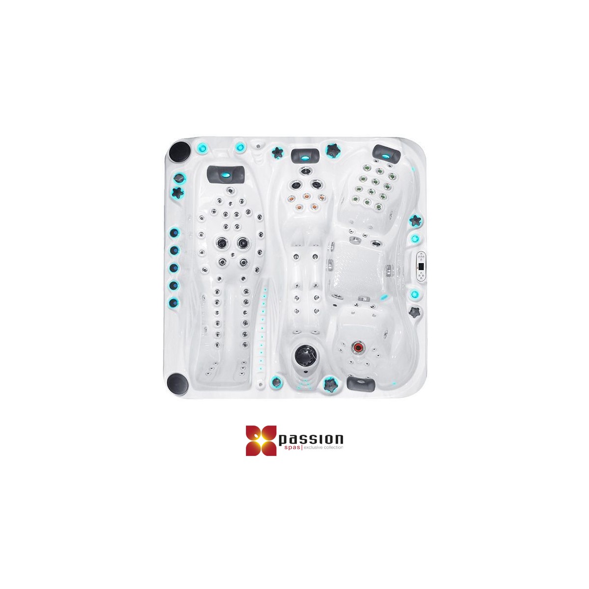 Passion Spas by Fonteyn Whirlpool Euphoria Mighty Wave | EXC