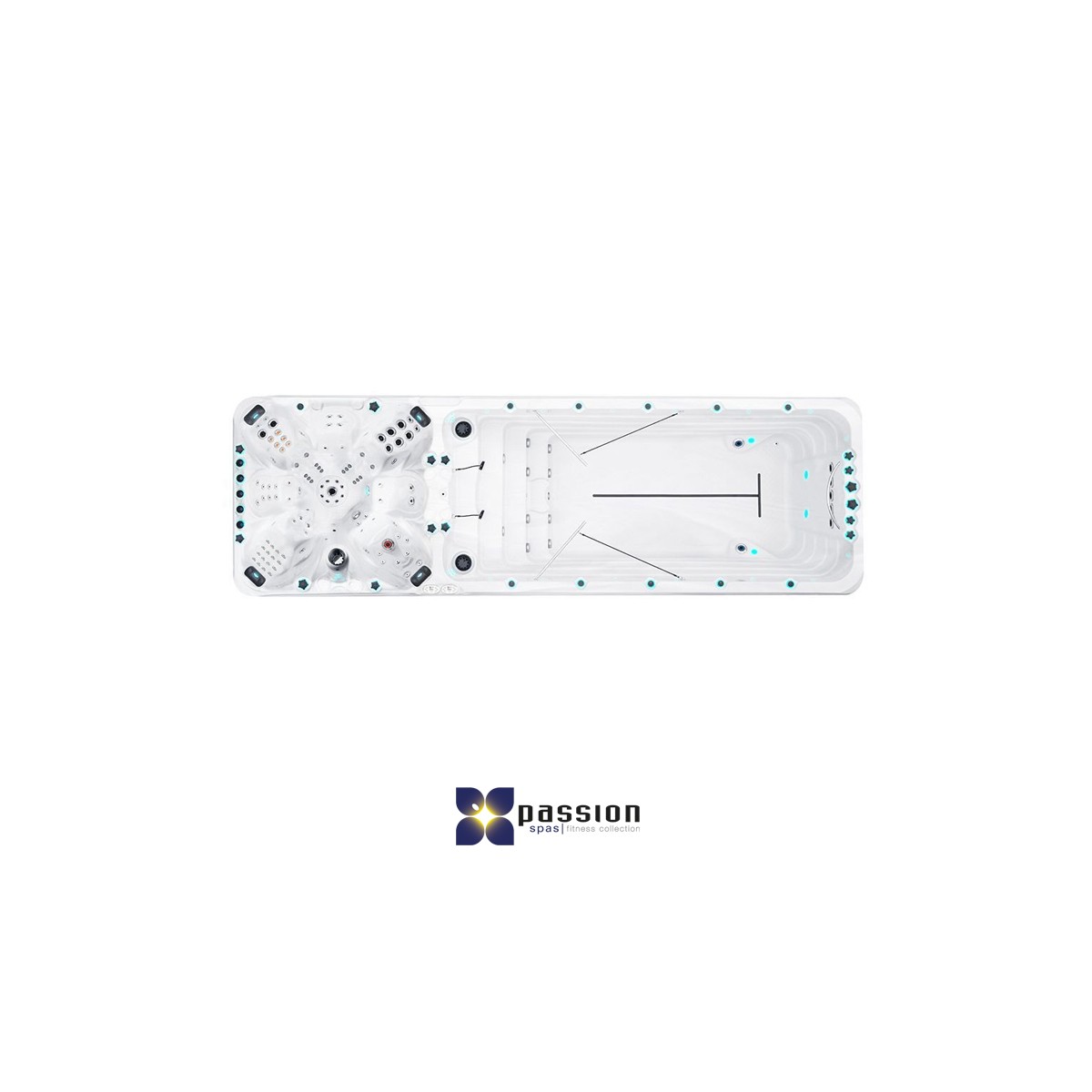 Passion Spas by Fonteyn Whirlpool SwimSp box